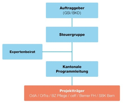 Das Organigramm zeigt auf, welche Gremien die Umsetzung der Pflegeinitiative im Kanton Bern begleiten.