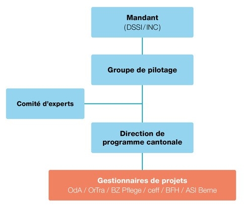 Organigramme représentant les différents organes du projet